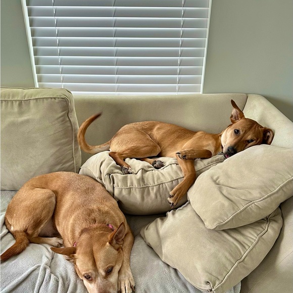 Meet your Posher, Jessica - Picture 6 of 6